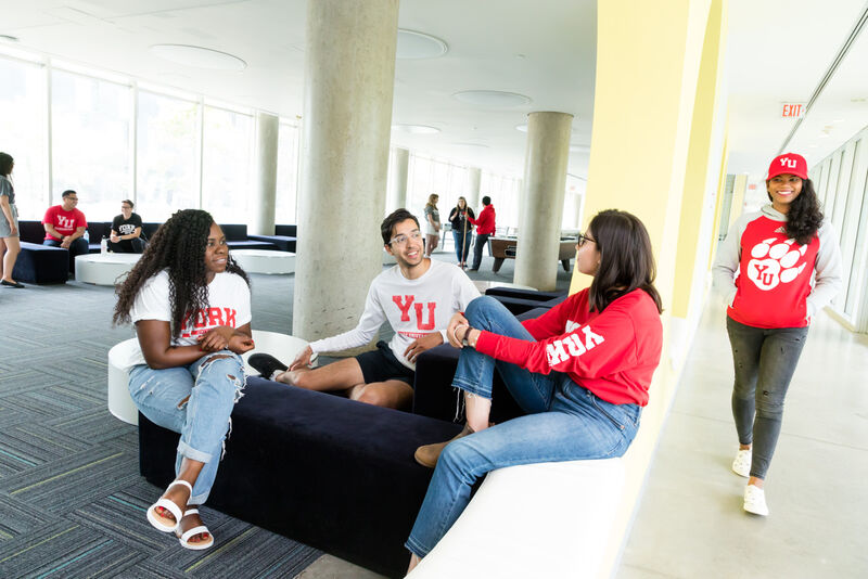 Students relaxing together on campus